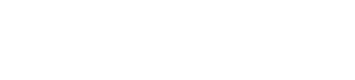 Logo flo system wt
